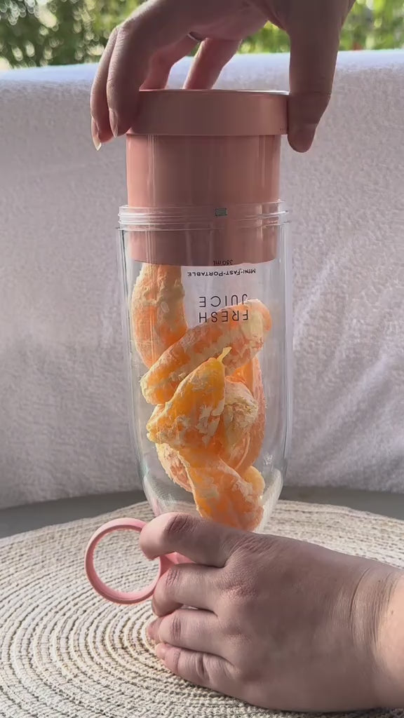 Electric Juicer Blender